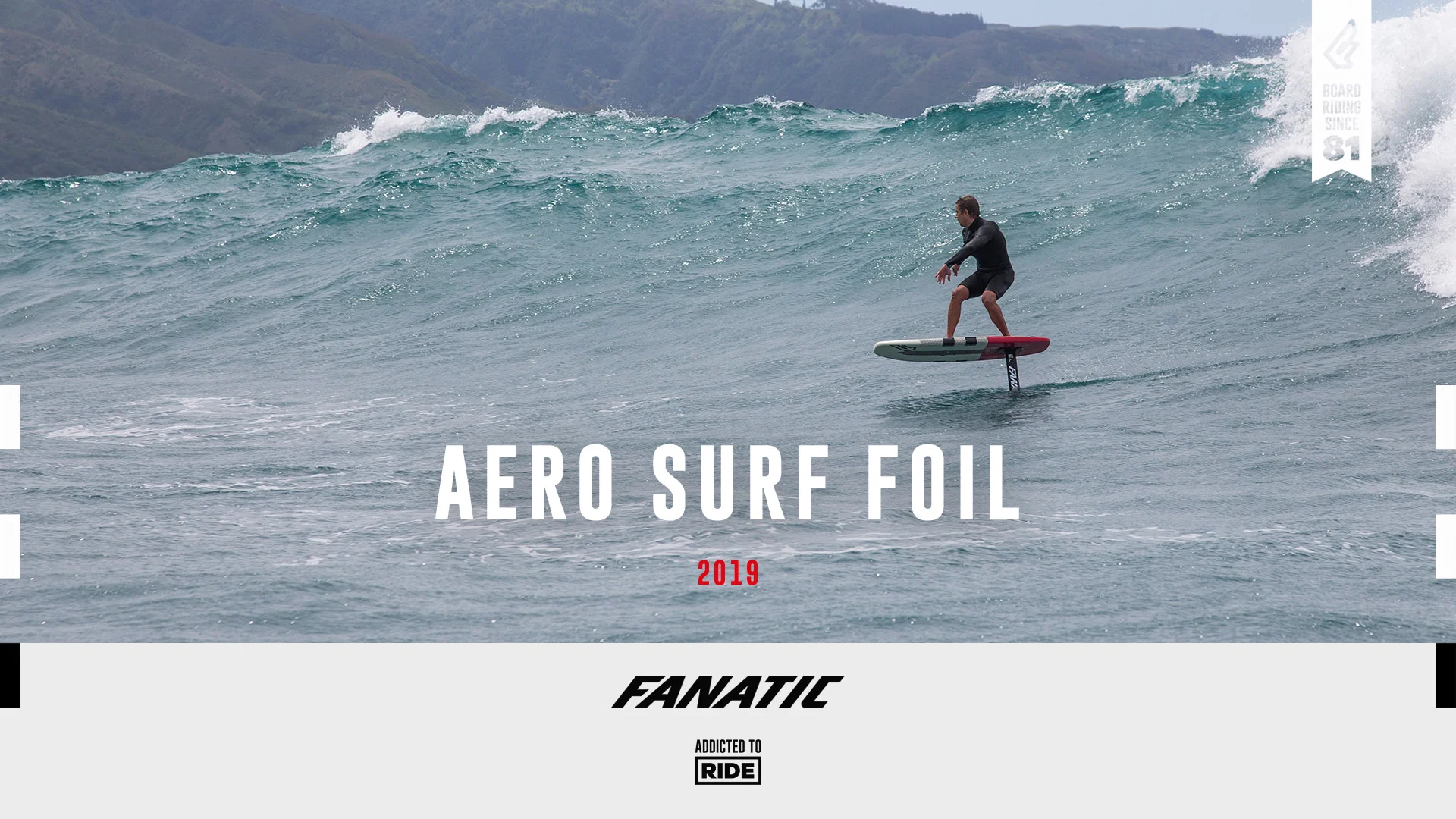 Fanatic on sale surf foil