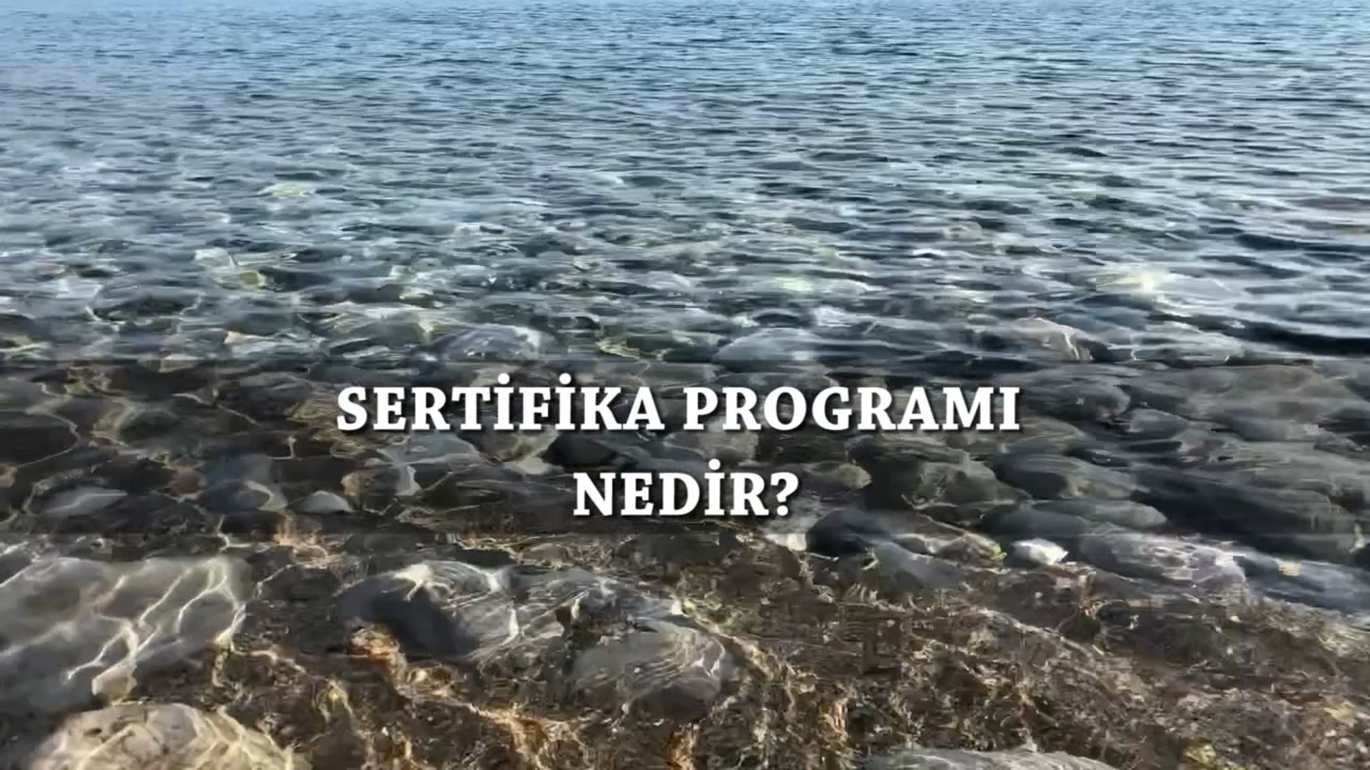 Sertifika Programı Nedir?