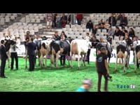 Vacas de primera lactación (I)