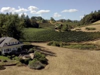 Zinfandel Stories: Sonoma County
