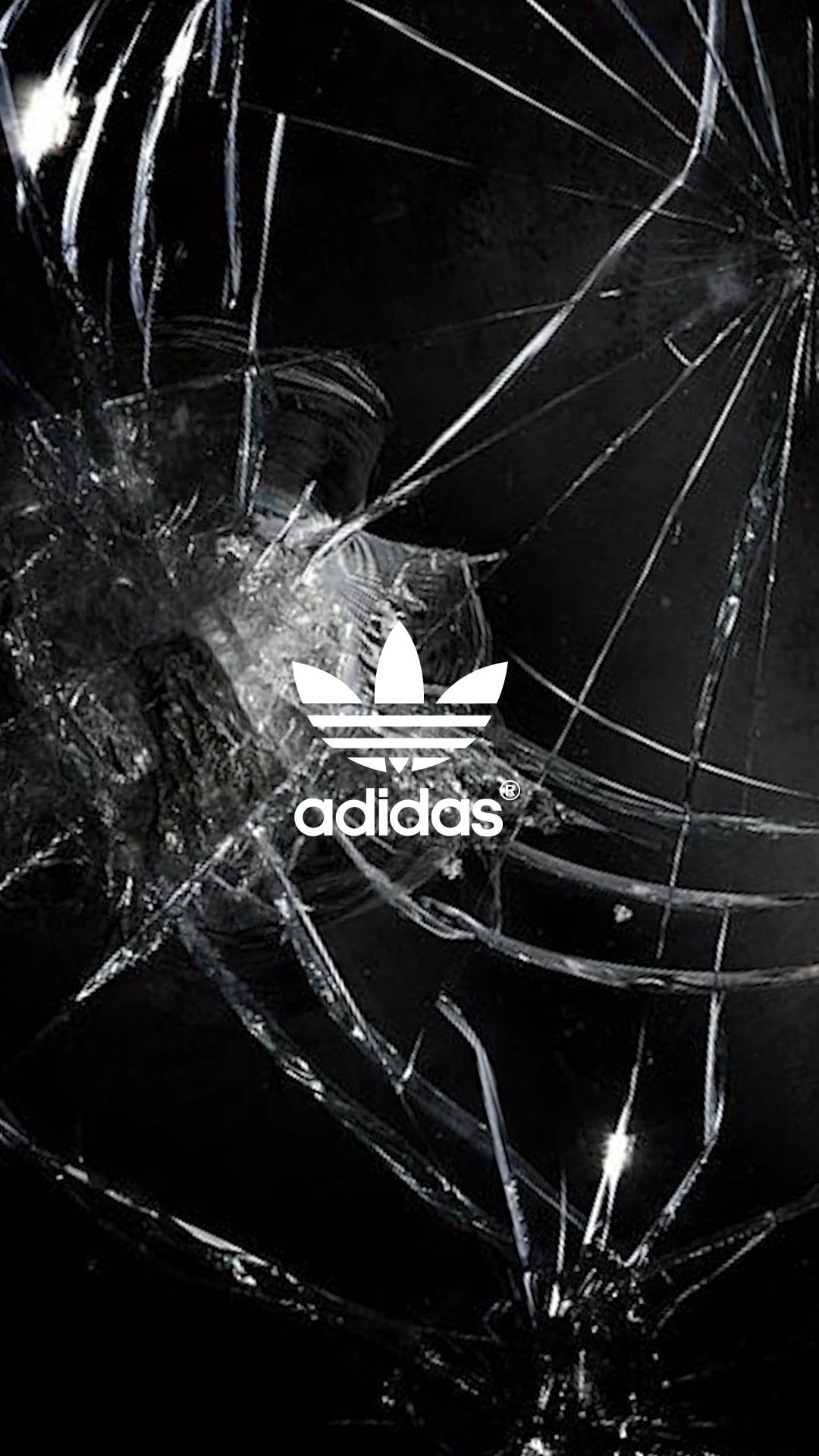 ADIDAS ORIGINALS | FALL / WINTER 2017