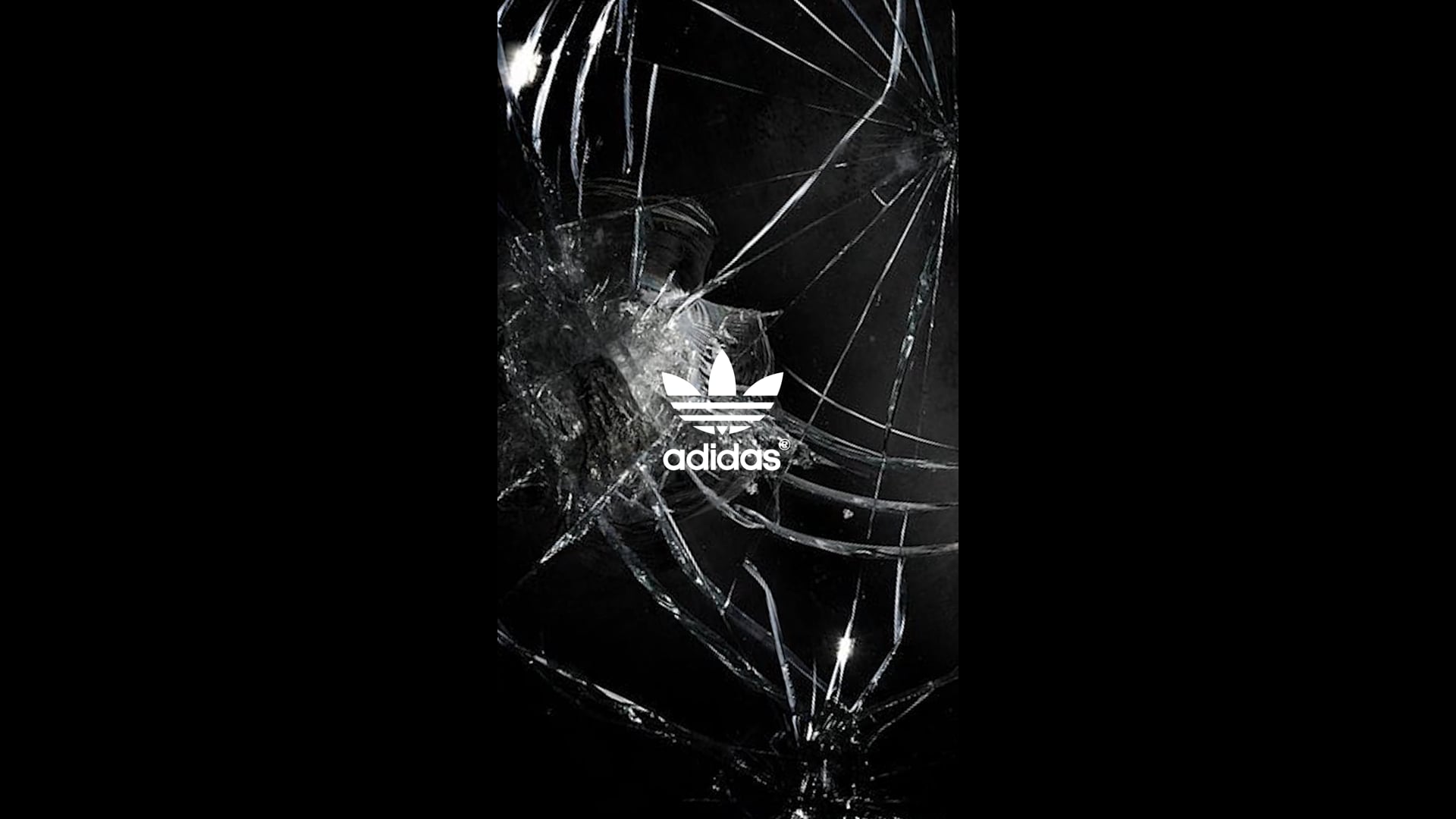 ADIDAS ORIGINALS | FALL / WINTER 2017