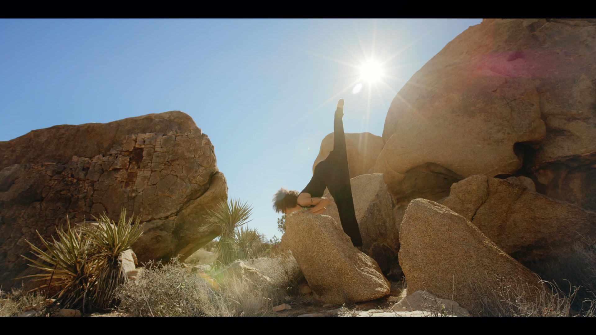 Desert as Muse