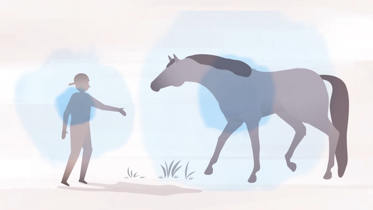 Why does horse therapy work?