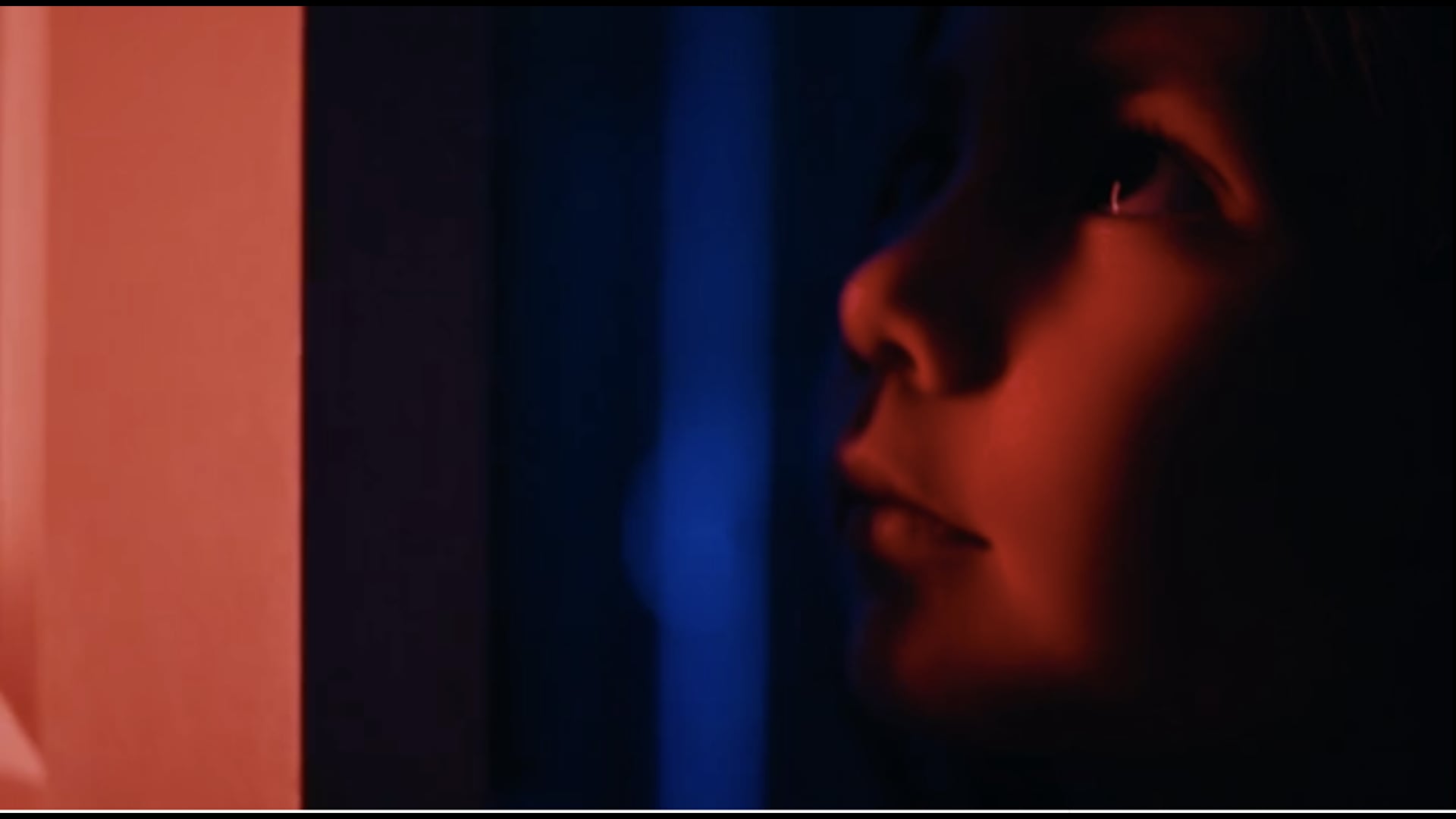 Good Bones | Poem by Maggie Smith | Film by Anais La Rocca