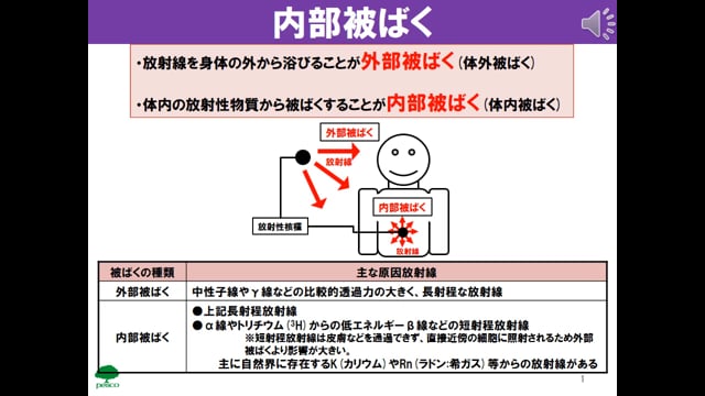 生物07_内部被ばく