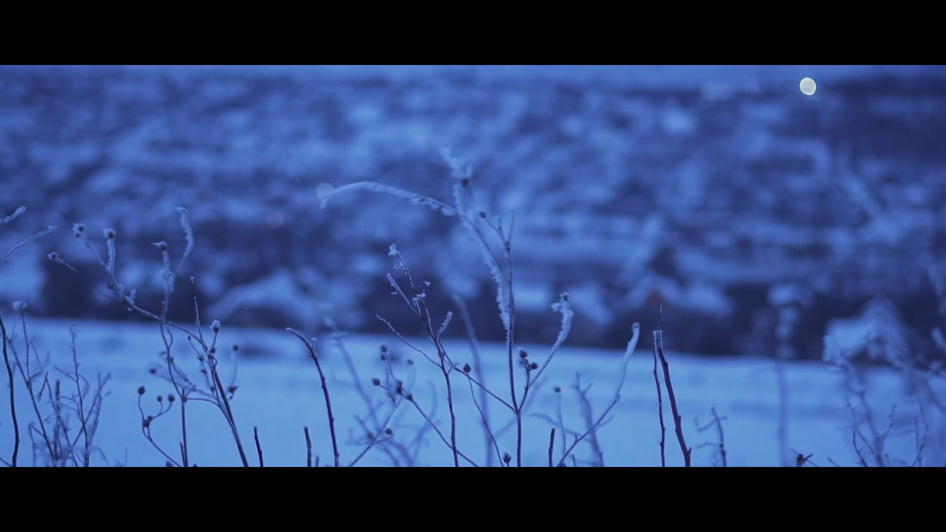- Ice Story of Veronica and Oleg -