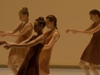 Extrait de "The art of not looking back" de Hofesh Shechter