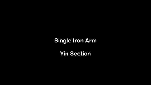Single Iron Arm