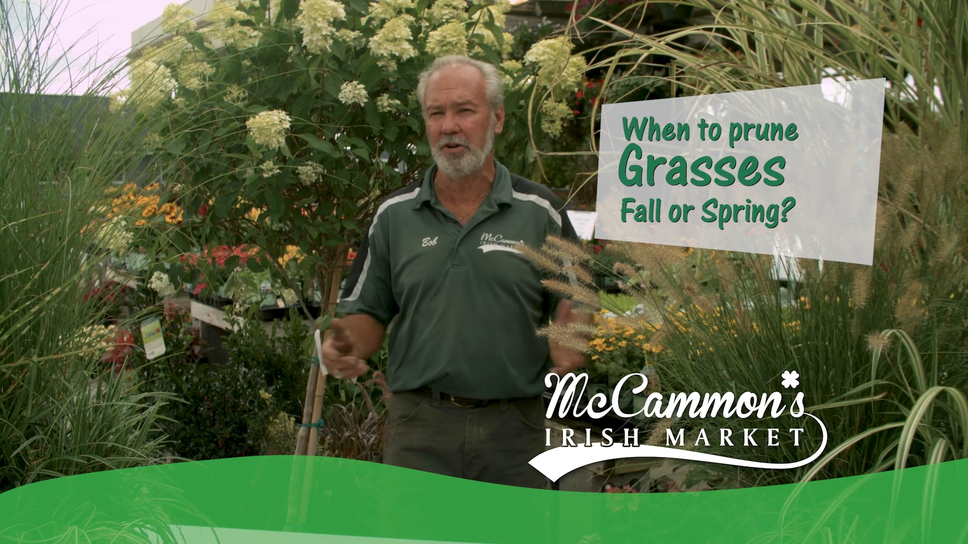 McCammon's Irish Market Prune Grass in Fall or Spring? on Vimeo