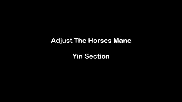 Adjust The Horses Mane