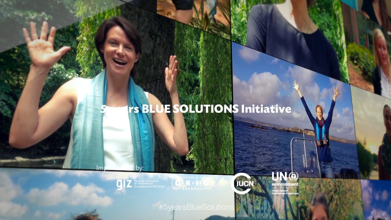 5 Years Blue Solutions Initiative