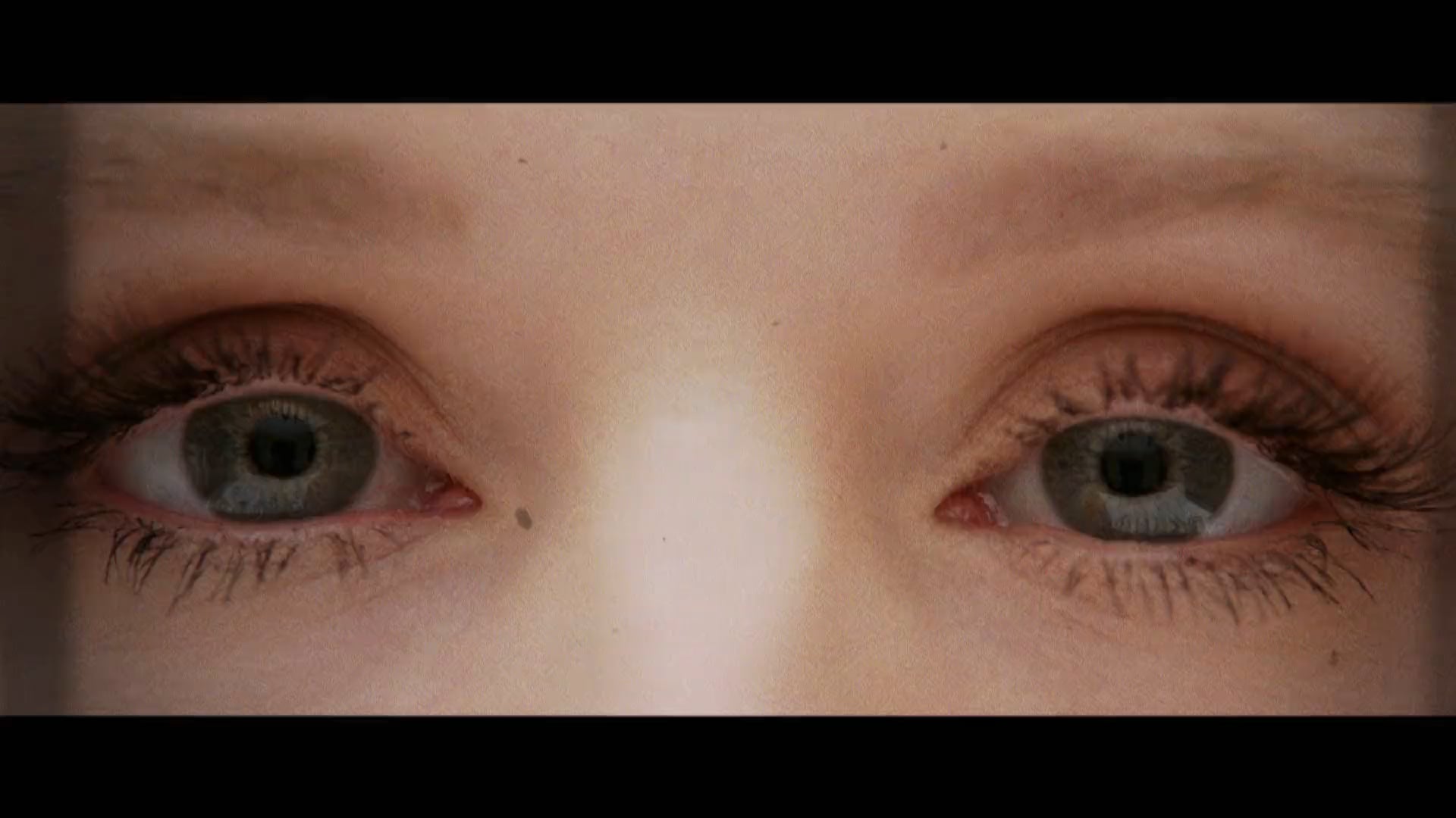 TGP Art House Trailer