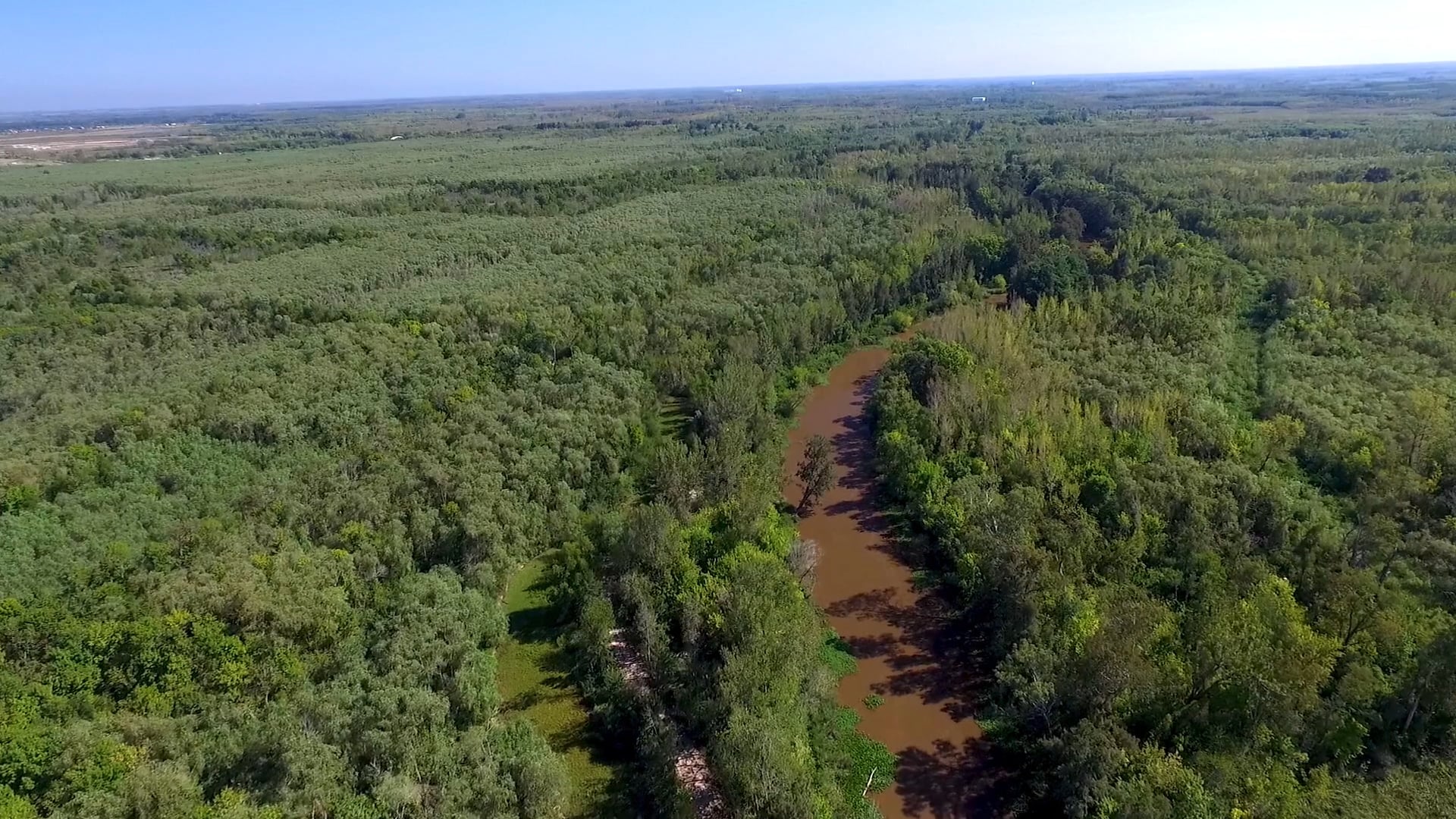 Consultatio - Contenido