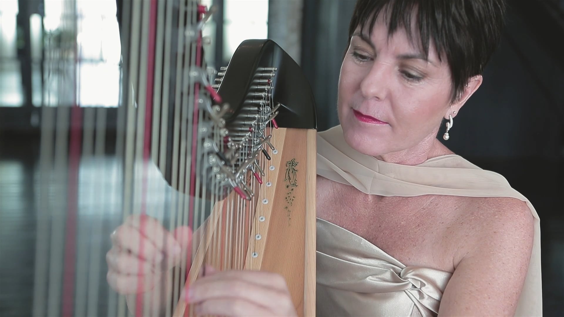 Promotional video thumbnail 1 for Susan Schnorr ~ Harpist