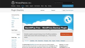 Introduction to the BackWPup Plugin