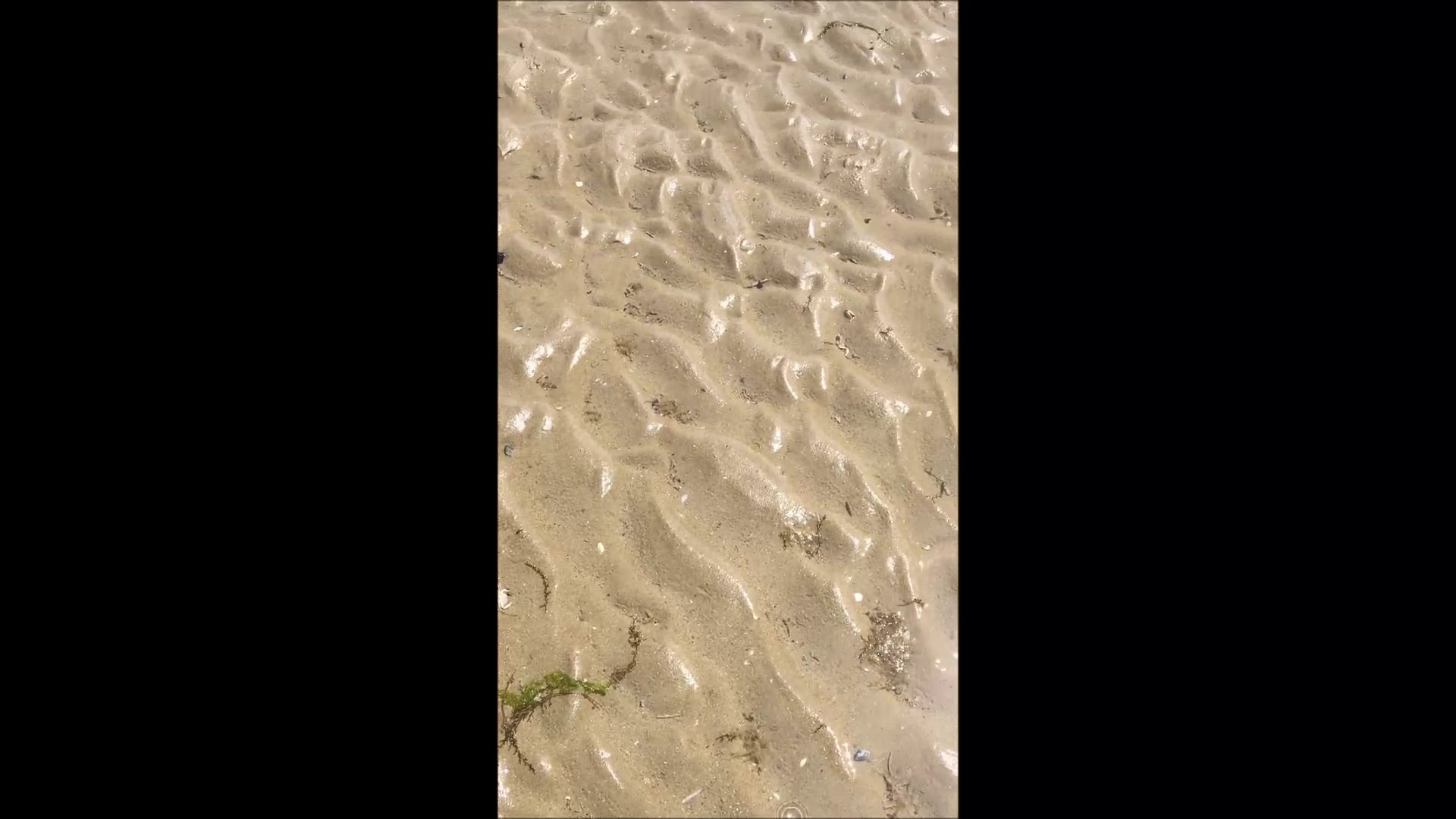 série Caminhadas, vídeo 2