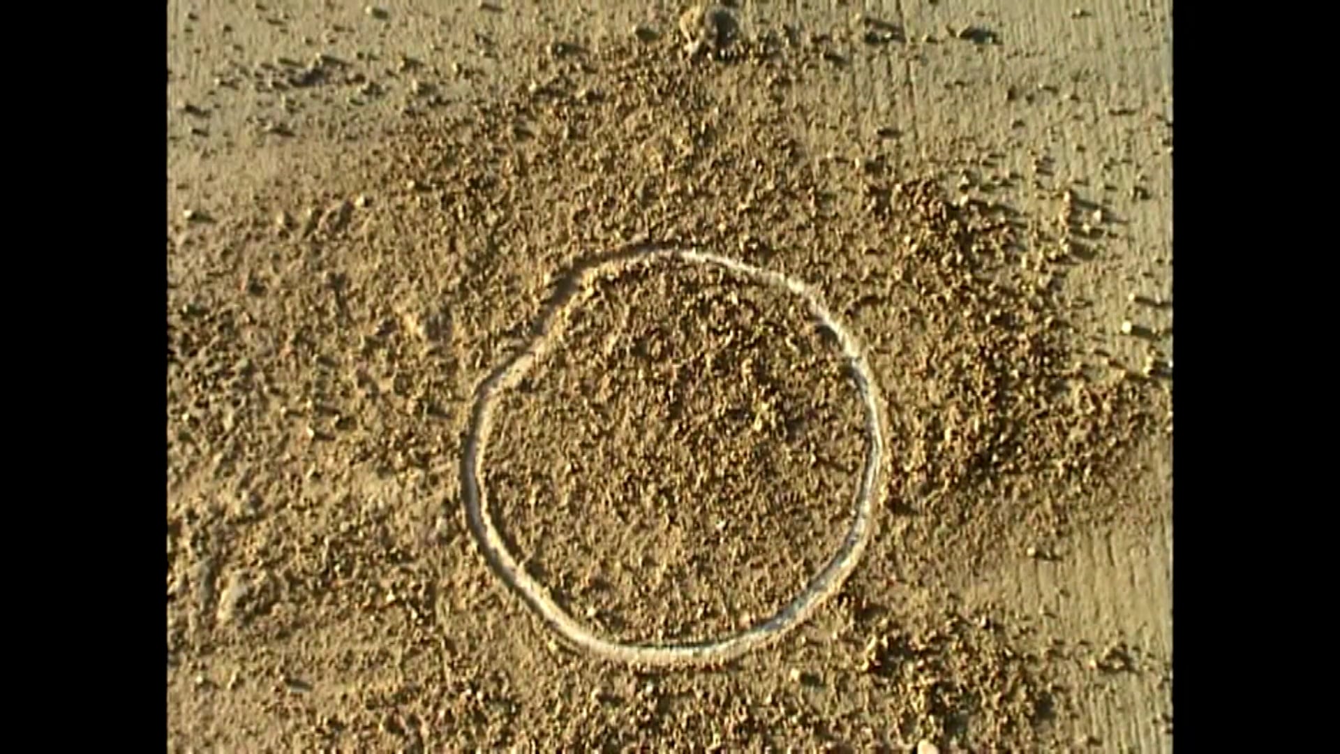 Uğur Kaymaz'lar Hakkında (2006)