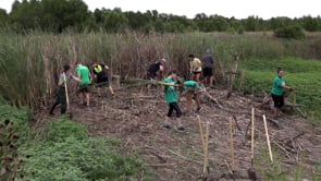 Waco Lake Wetland Work Day