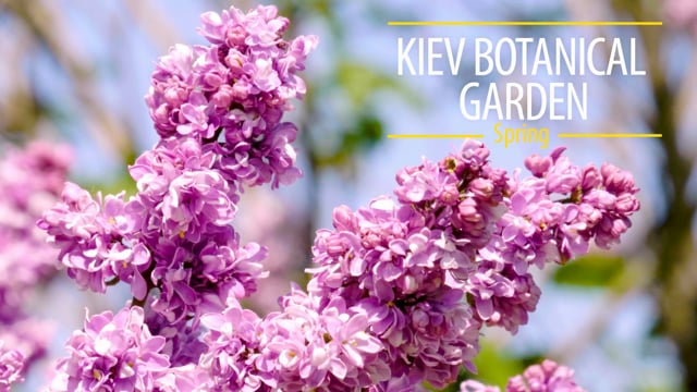 Kiev Botanical Garden, Spring