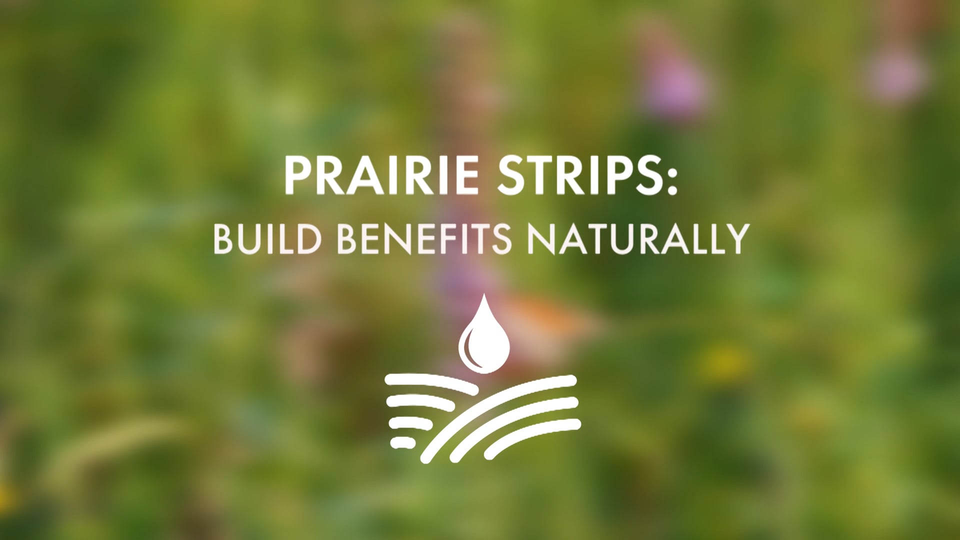 Prairie Strips: Build Benefits Naturally