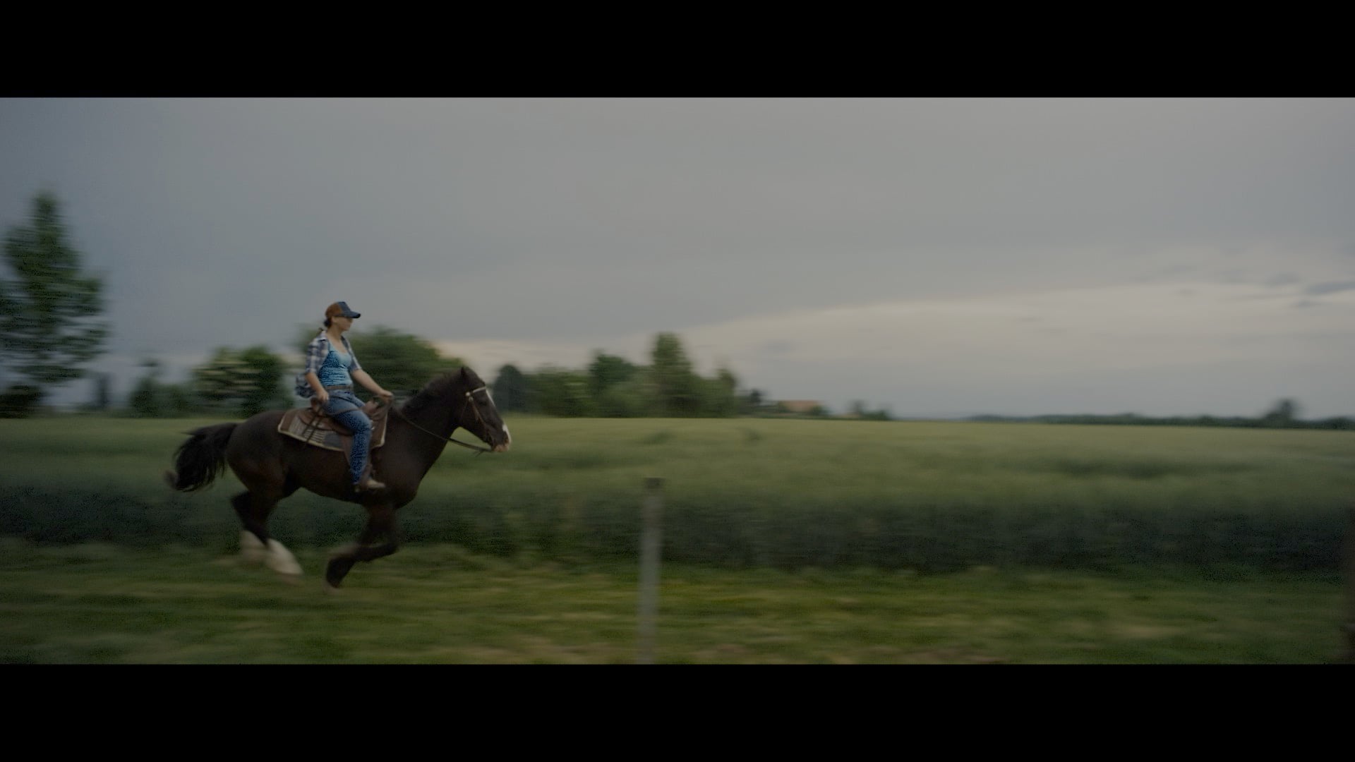 Test Cooke Panchro