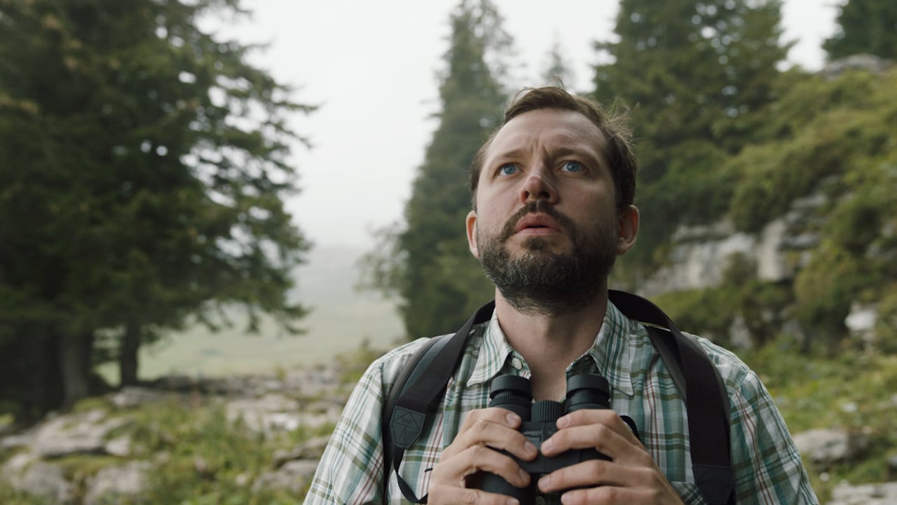 Vorschaubild von Bär