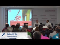Ensayos de adaptación de las diferentes variedades de maíz