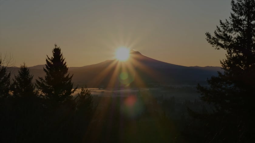 vimeo-video-thumbnail