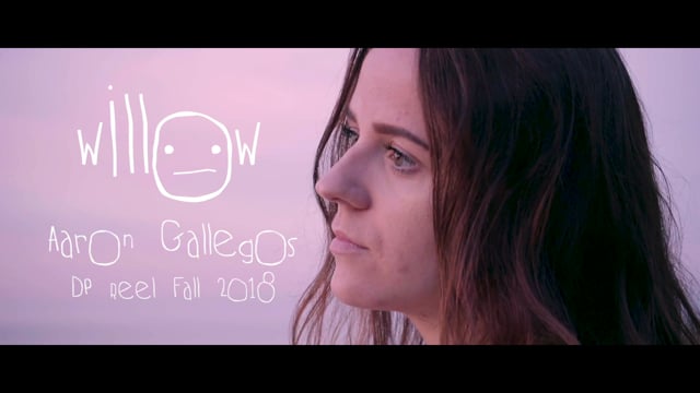 Willow | Aaron Gallegos DP Reel Fall 2018