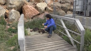 SolGat celebra el seu desè aniversari amb una festa oberta a tothom