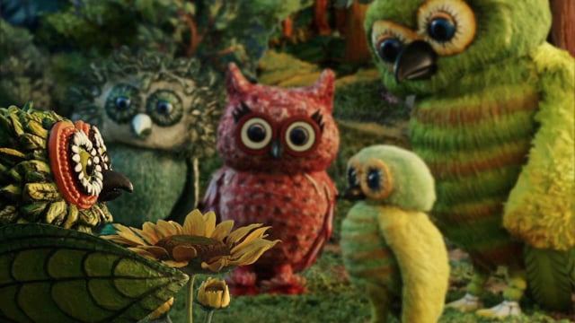 Meet the Owls