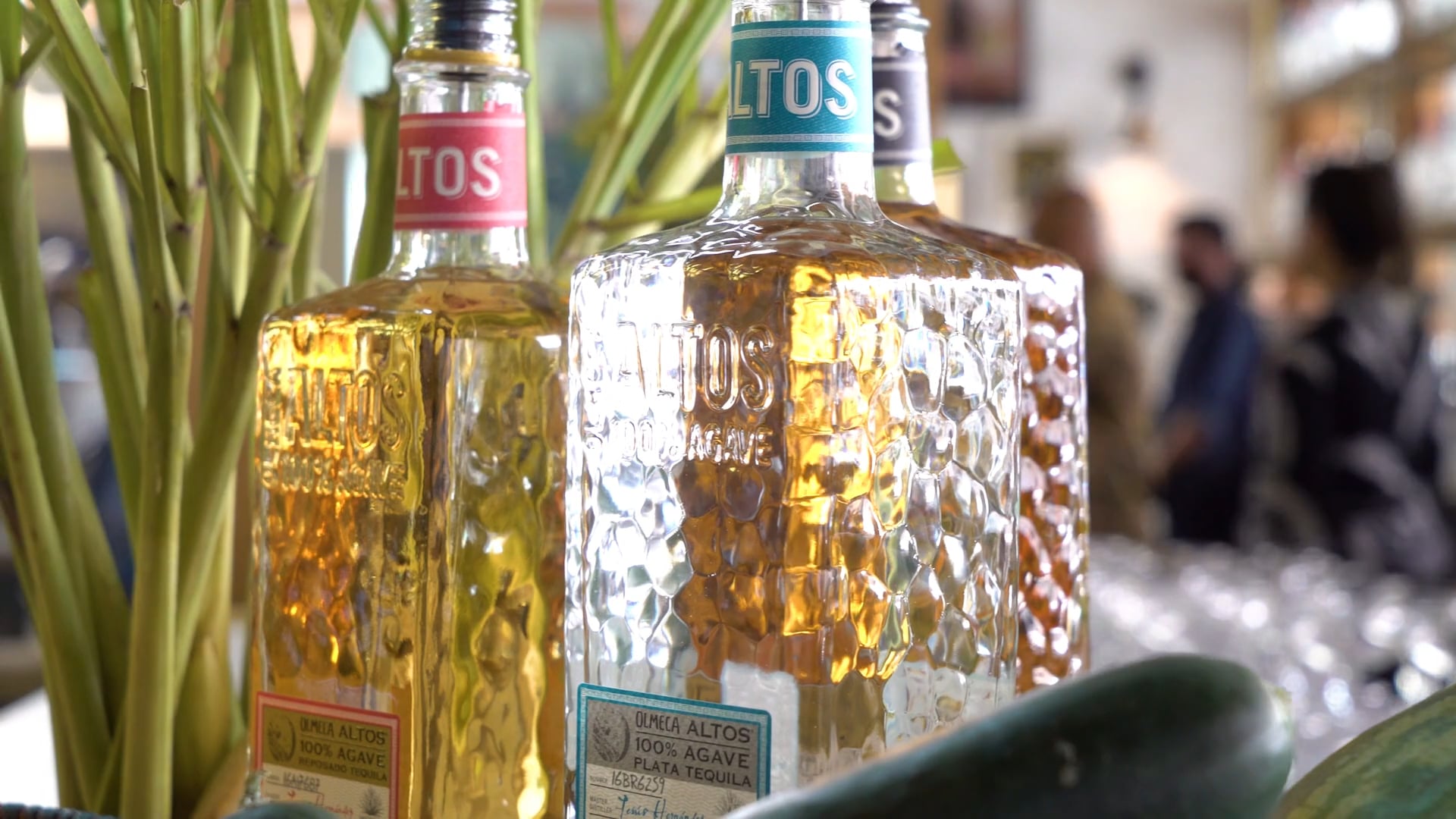 Altos Tequila Event Highlights