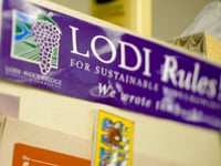 Zinfandel Stories: Lodi