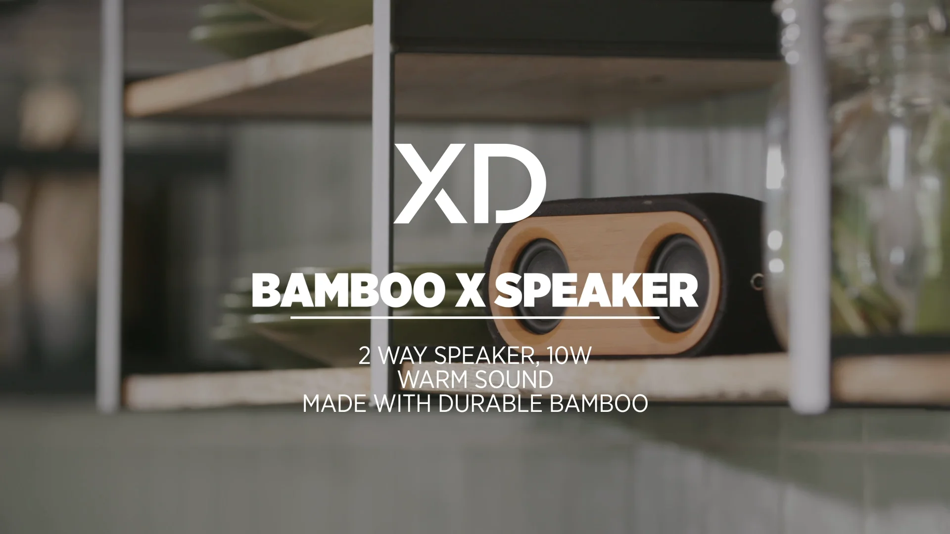 Bamboo X speaker