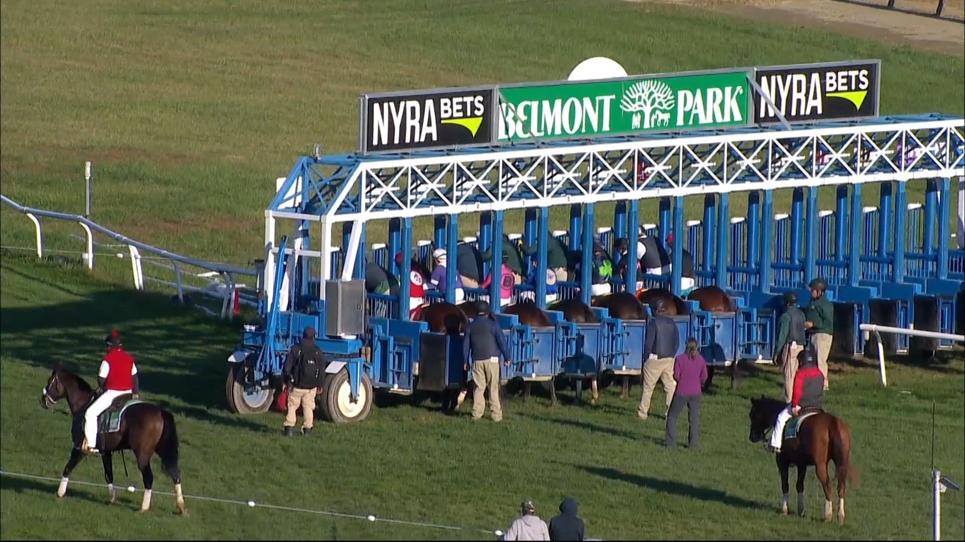 Mo Town Stallions Coolmore America