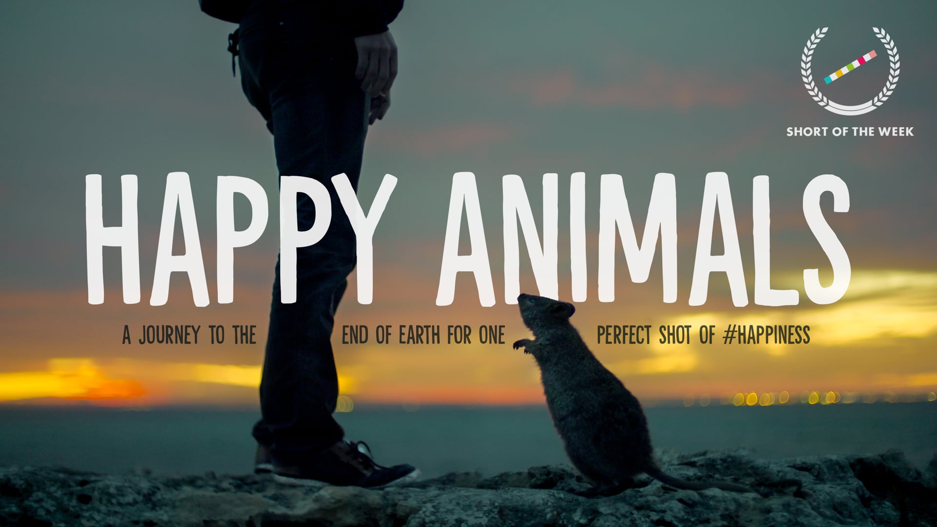 Happy Animals