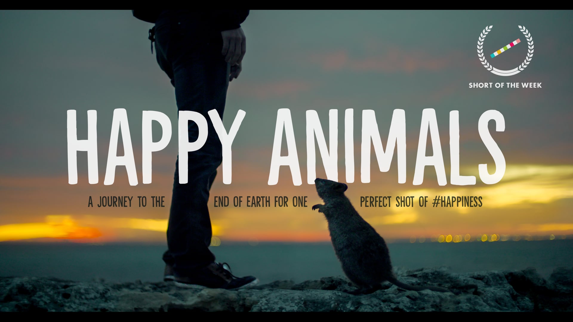 Happy Animals