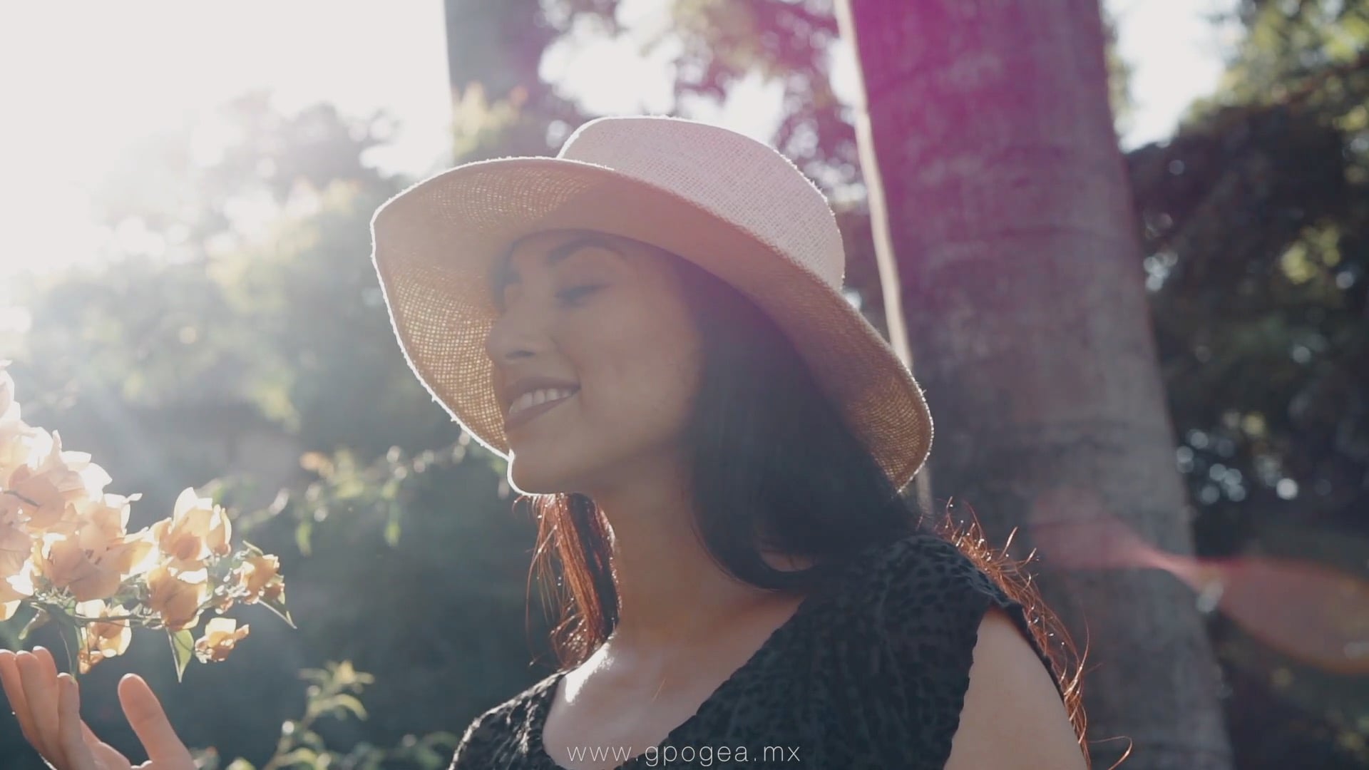 Amaranta - Grupo GEA