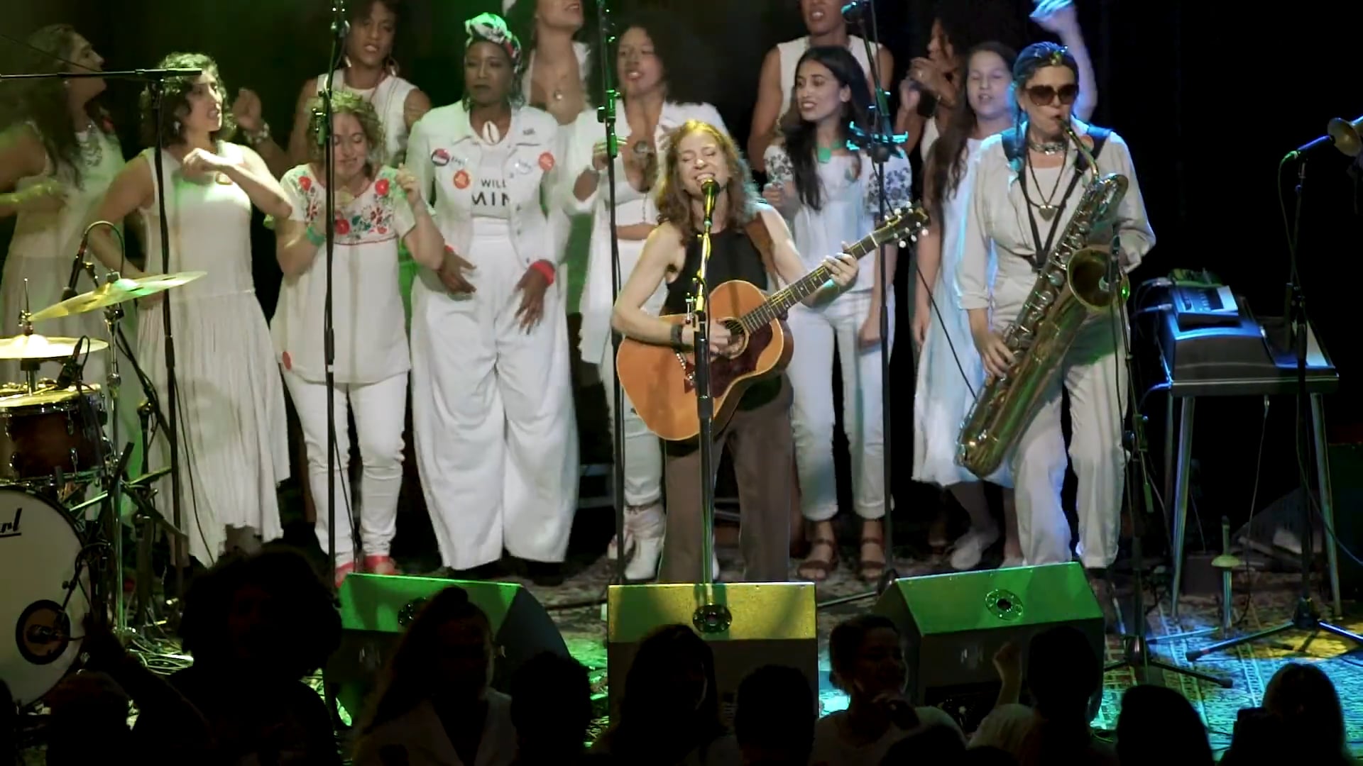 "BINARY" Ani DiFranco