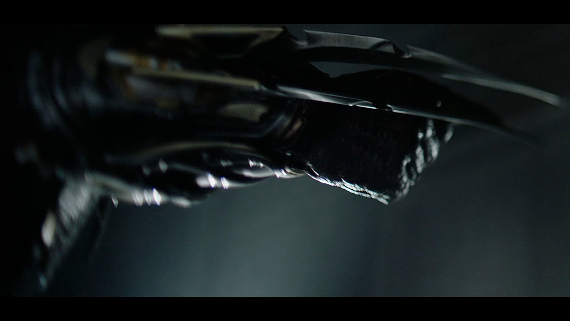The Predator - CONTENT "New Model"