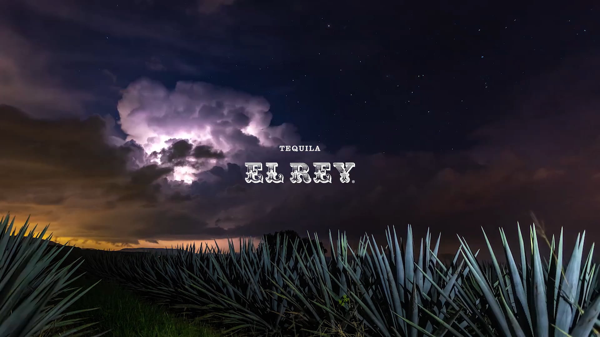 Tequila El Rey