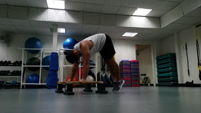 Parallette push online ups