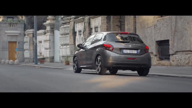 Peugeot 208 Black Line Spot