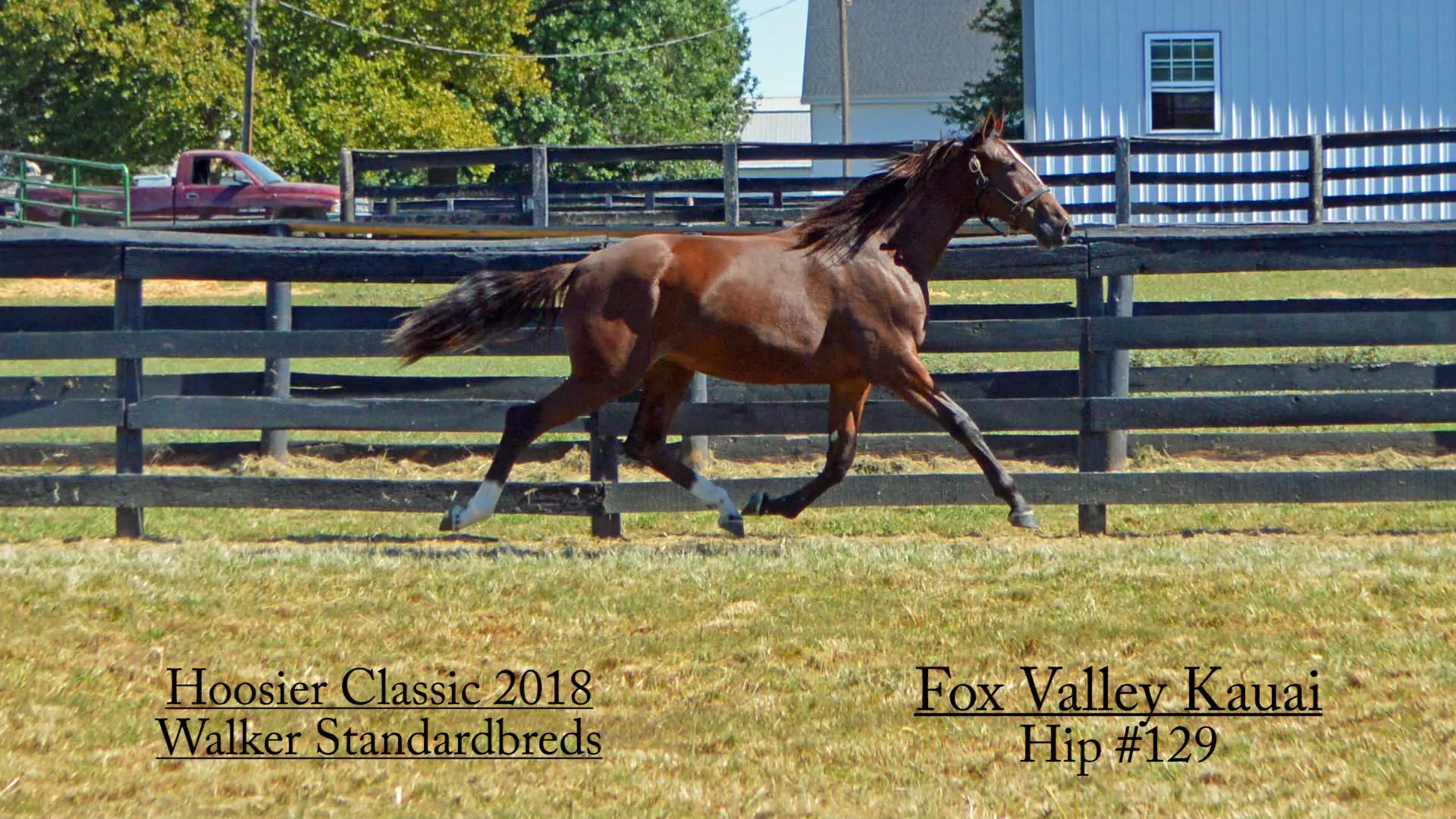 129 Fox Valley Kauai/Walker Standardbreds/Hoosier Classic 2018 on Vimeo