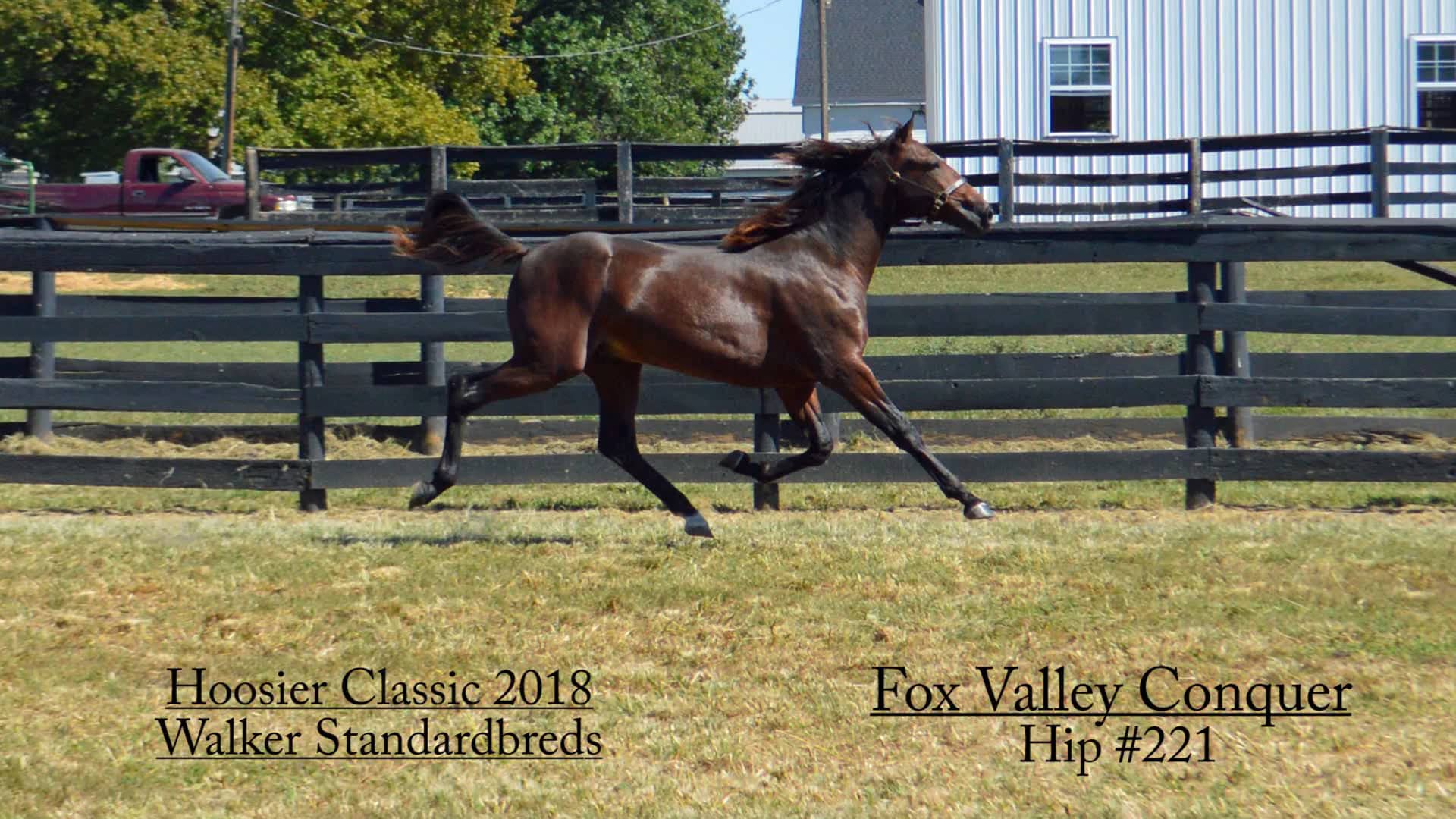 221 Fox Valley Conquer/Walker Standardbreds/Hoosier Classic 2018 on Vimeo