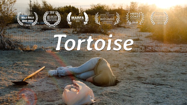 Related Embedded Video Item Thumbnail