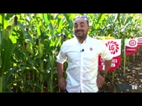 Gustavo García