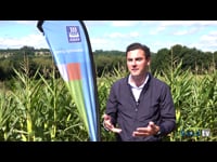 Germán Martos
