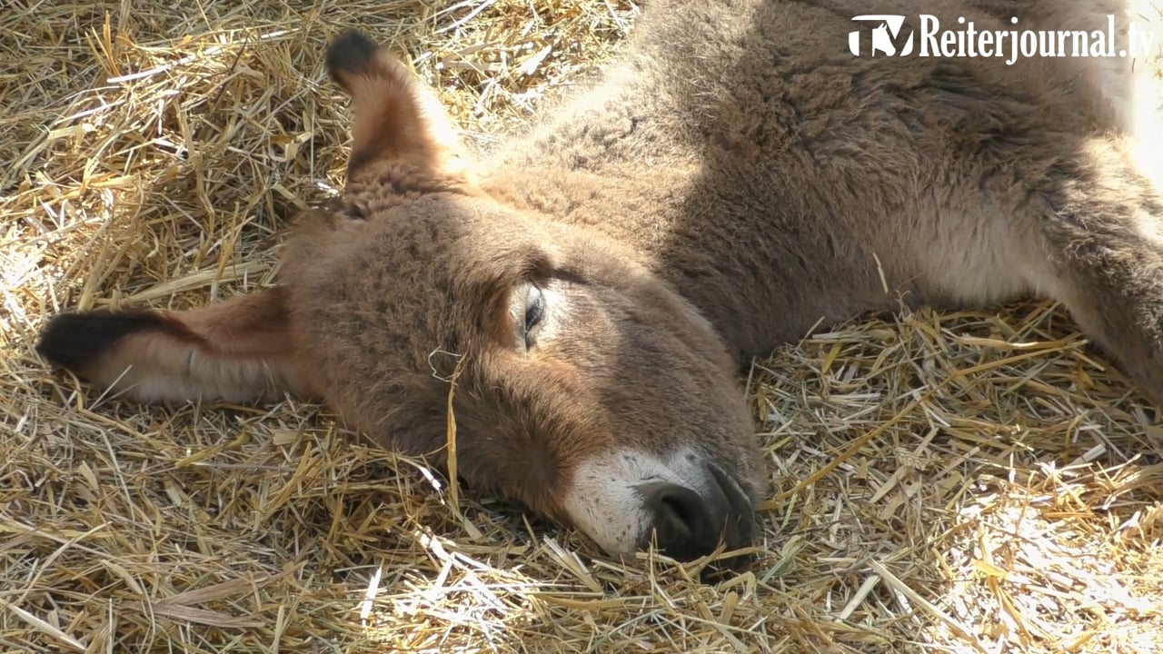 100. Landwirtschaftsliches Hauptfest Stuttgart - noch bis zum 07. Oktober 2018!